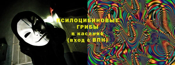 ГАЛЛЮЦИНОГЕННЫЕ ГРИБЫ Протвино