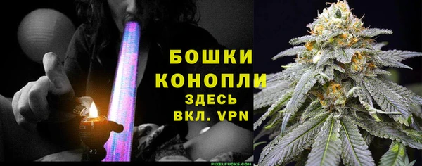ГАЛЛЮЦИНОГЕННЫЕ ГРИБЫ Протвино