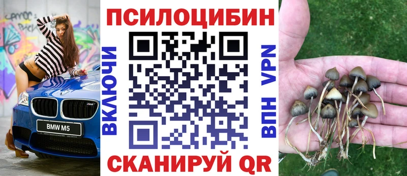 наркота  Сибай  Псилоцибиновые грибы прущие грибы 