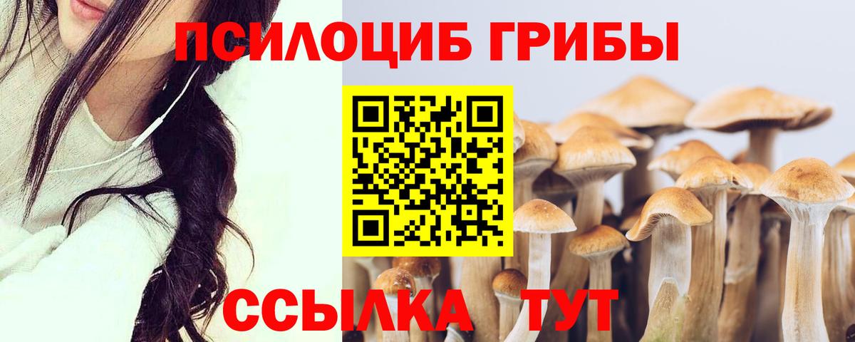 Сибай  Галлюциногенные грибы мицелий  Вход с VPN 